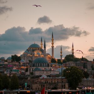 Captivating cityscape of Istanbul featuring a mosque and minarets at sunset with birds flying.